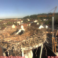 09_00-nest.jpg