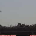 09_10-mast.jpg