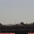 09_25-mast.jpg