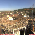 09_25-nest.jpg