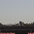 09_40-mast.jpg