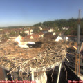 09_40-nest.jpg