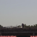 09_45-mast.jpg