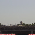 10_05-mast.jpg