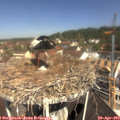 11_05-nest.jpg