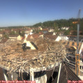 11_10-nest.jpg
