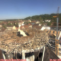 11_15-nest.jpg