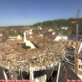 11_20-nest.jpg