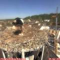 11_25-nest.jpg
