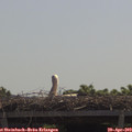 11_30-mast.jpg