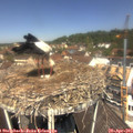 12_10-nest.jpg