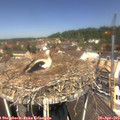 12_15-nest.jpg