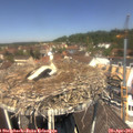 12_25-nest.jpg