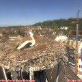 12_30-nest.jpg