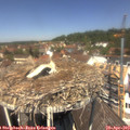 12_35-nest.jpg