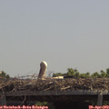 12_40-mast.jpg
