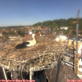 13_05-nest.jpg