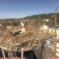 13_35-nest.jpg