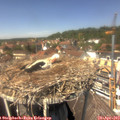 13_40-nest.jpg