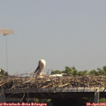 14_00-mast.jpg