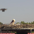 14_15-mast.jpg