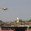 15_35-mast.jpg