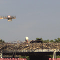 15_40-mast.jpg