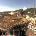 16_10-nest.jpg