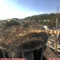 17_50-nest.jpg