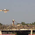 18_00-mast.jpg
