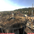 18_00-nest.jpg