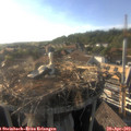 18_10-nest.jpg