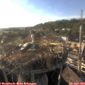 18_20-nest.jpg