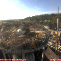 18_30-nest.jpg