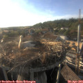 18_35-nest.jpg