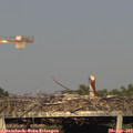 18_45-mast.jpg