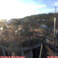 19_35-nest.jpg