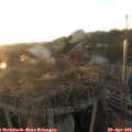 19_45-nest.jpg
