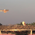 20_00-mast.jpg