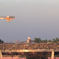 20_15-mast.jpg