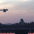 06_05-mast.jpg