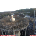 06_05-nest.jpg