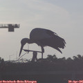 07_05-mast.jpg