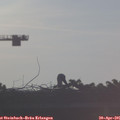 07_20-mast.jpg
