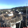 07_25-nest.jpg
