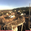 07_30-nest.jpg