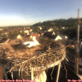 07_40-nest.jpg