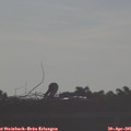 07_45-mast.jpg