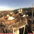 07_55-nest.jpg