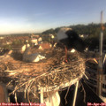 08_00-nest.jpg